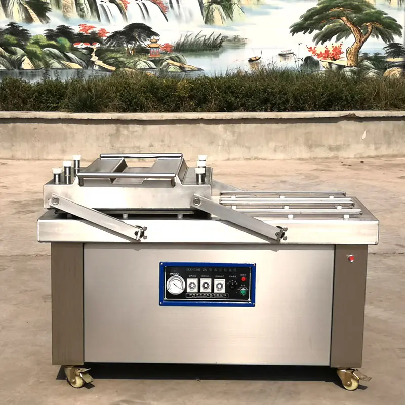 Alternative view of Máy Hút Chân Không 2 Buồng DZQ-500-2S
