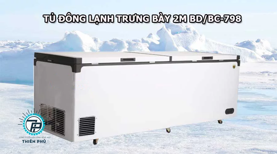 tu dong 2m BDBC 798 1