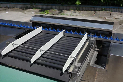 Máy Bóc Vỏ Trứng - Ảnh 8
