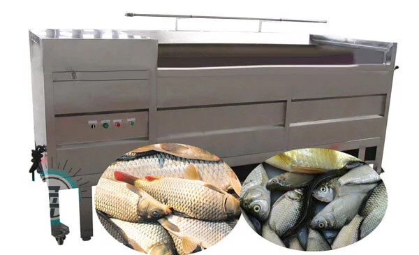 Máy Ép Định Hình Chả Cá Máy Đánh Vảy Cá Công Nghiệp