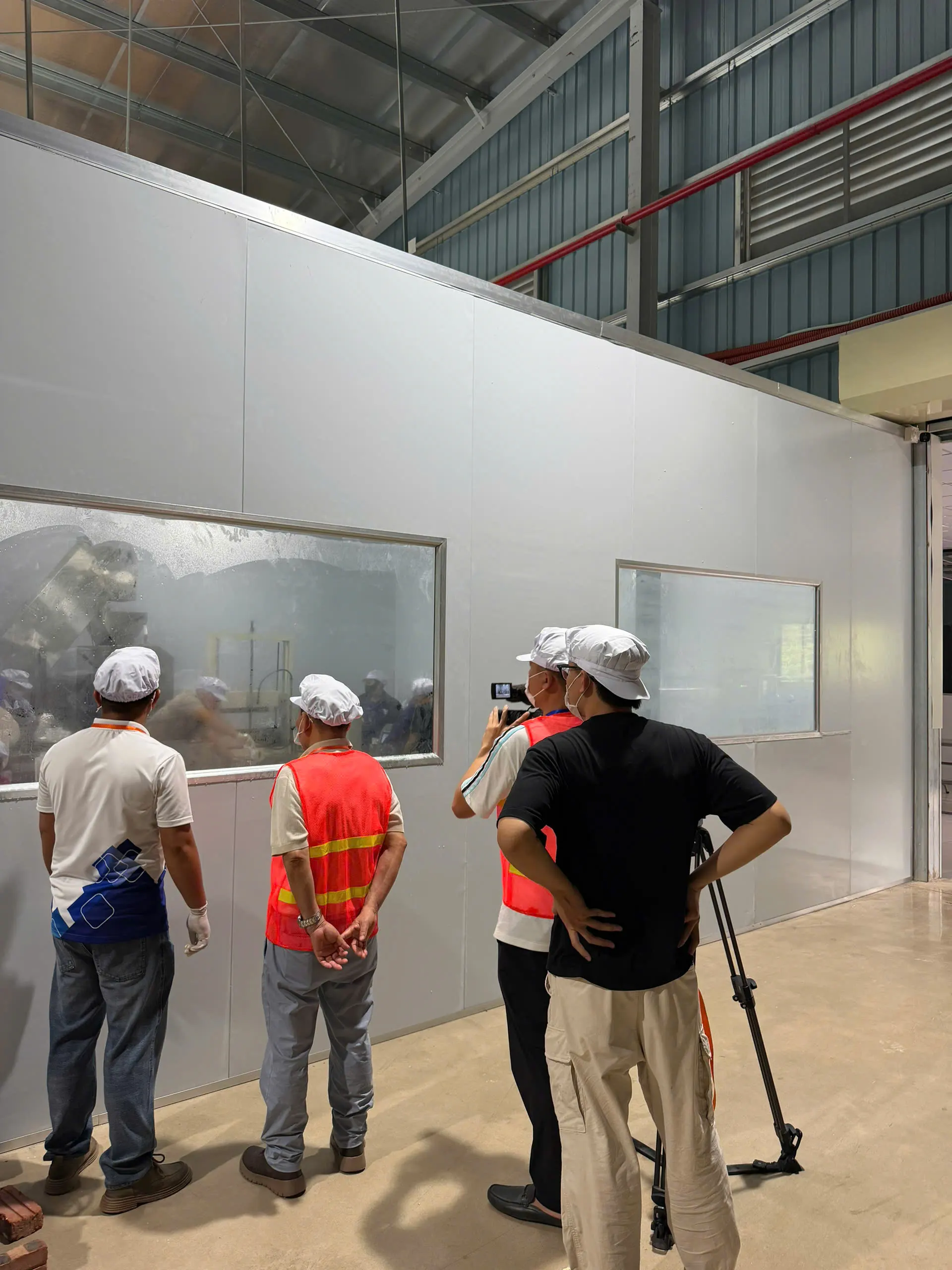 Bàn giao Dây Chuyền Cấp Đông IQF Xoài cho Công Ty TNHH Đầu Tư Thương Mại Tiến Ngân