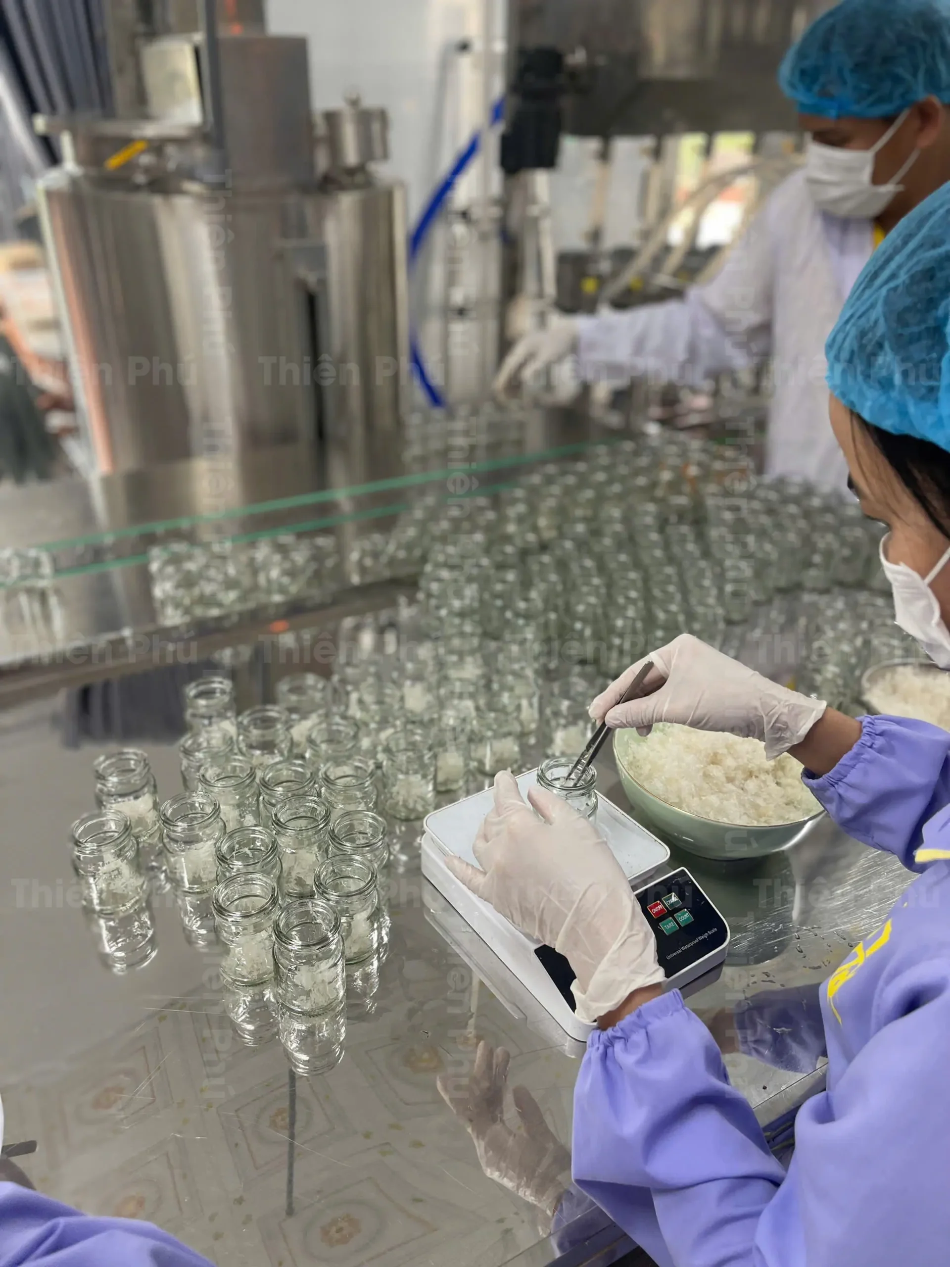 dc yen daklak 06 scaled