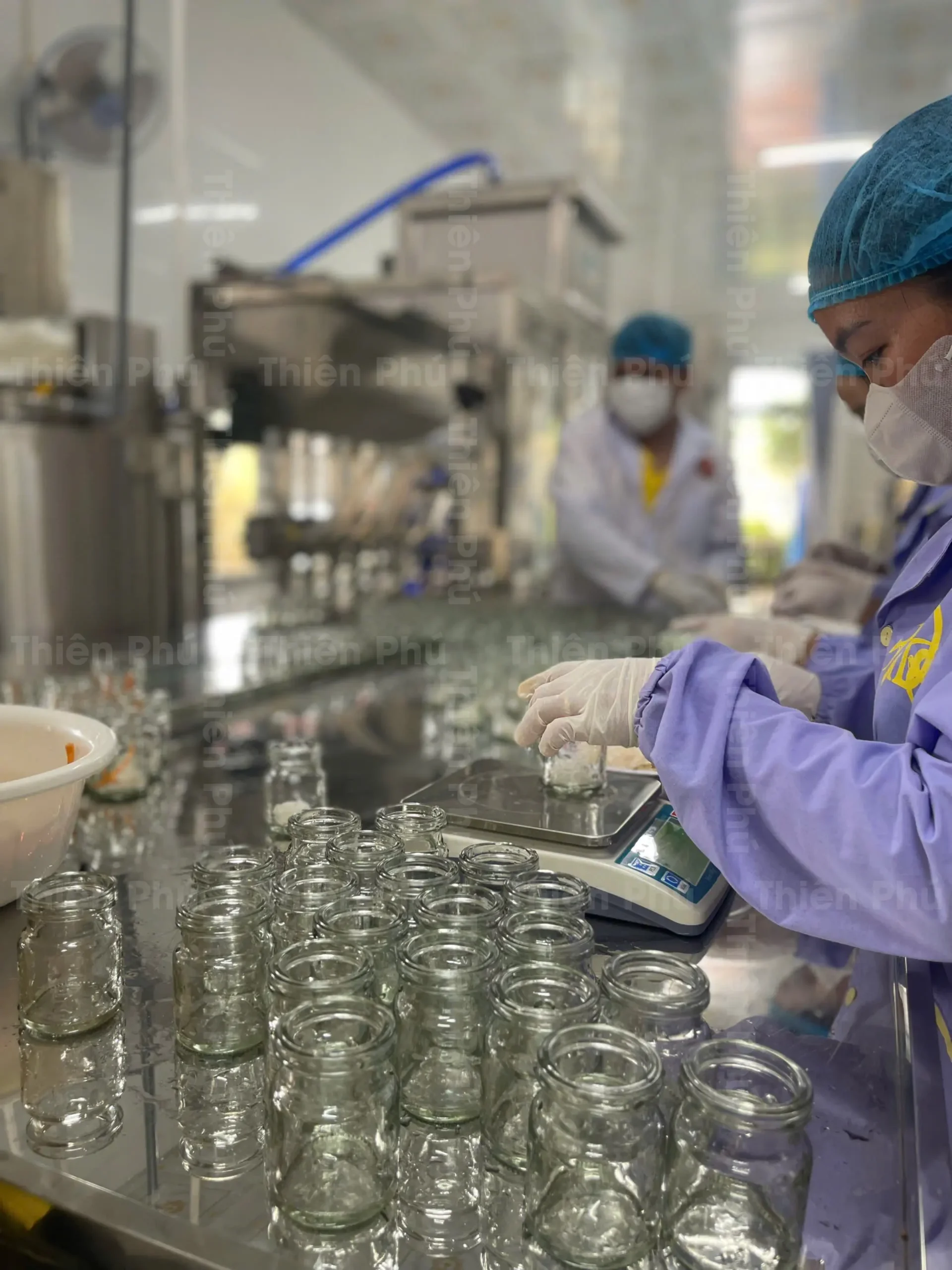 dc yen daklak 08 scaled