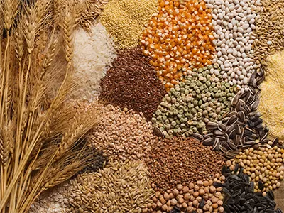 icon granular packaging