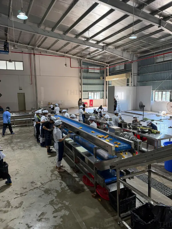 bàn giao dây chuyền cấp đông xoài cho Công Ty Đầu Tư Thương Mại Tiến Ngân