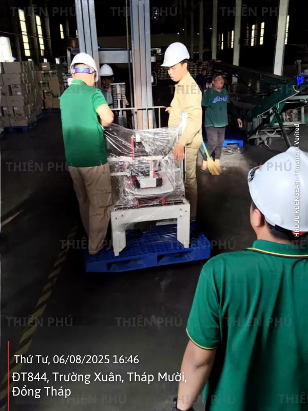 may dan thung carton 1