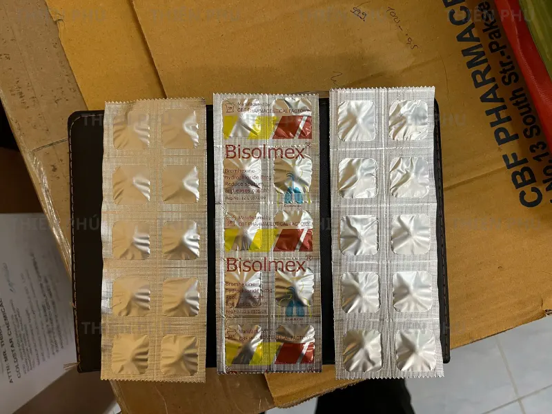 bàn giao máy ép vỉ xé tại Lào